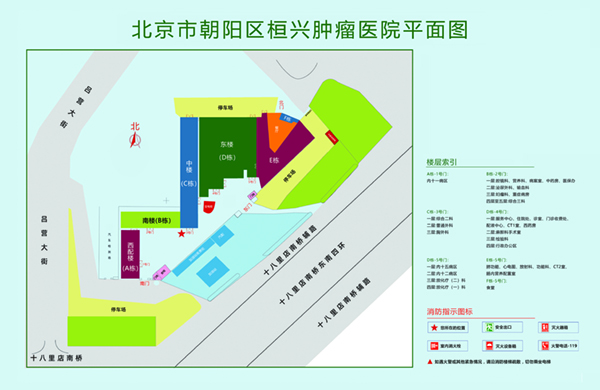 大学生深夜操逼网站北京市朝阳区桓兴肿瘤医院平面图